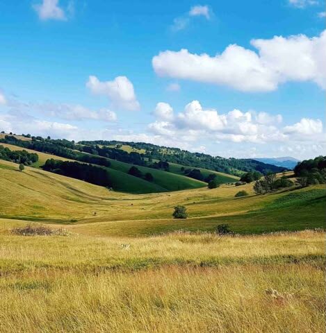 Rolling green hills and pastures, Serbia
