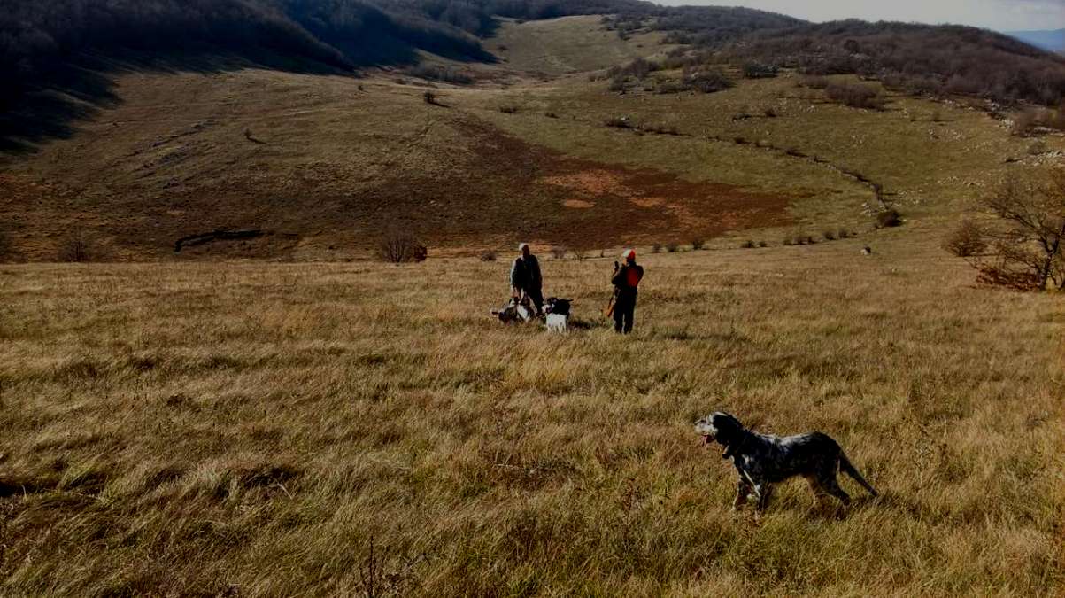 Hunter and dog with woodcock, Spain