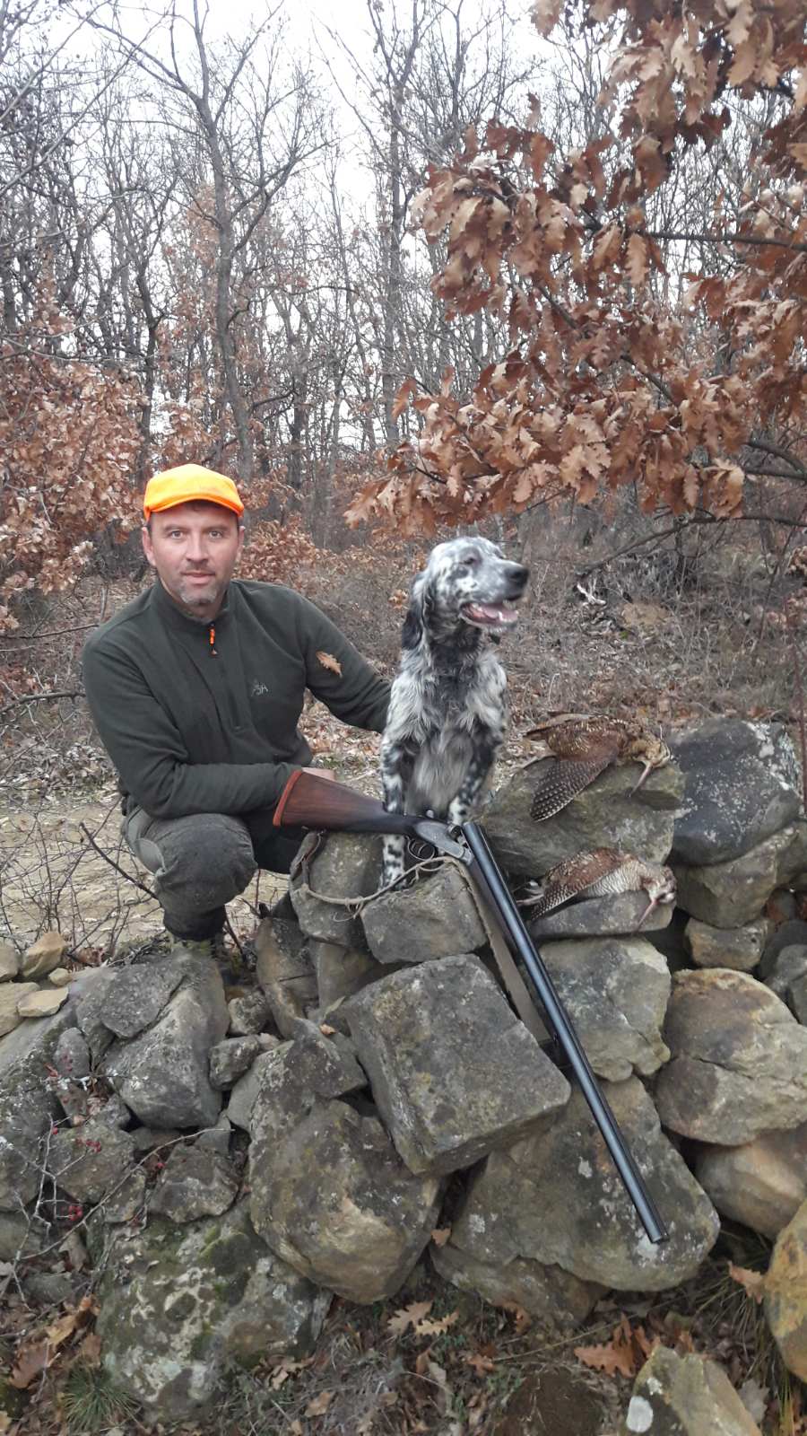 Wide landscape, hunters and dogs, Spain