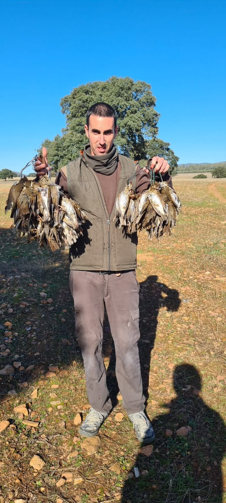 Thrush and partridge harvest, Andalusia