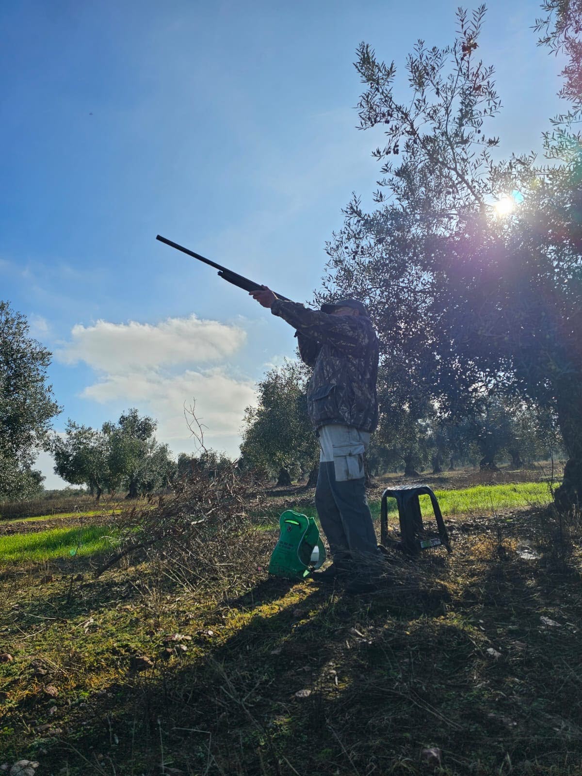 Hunter in the olive groves, Sevilla, Andalusia