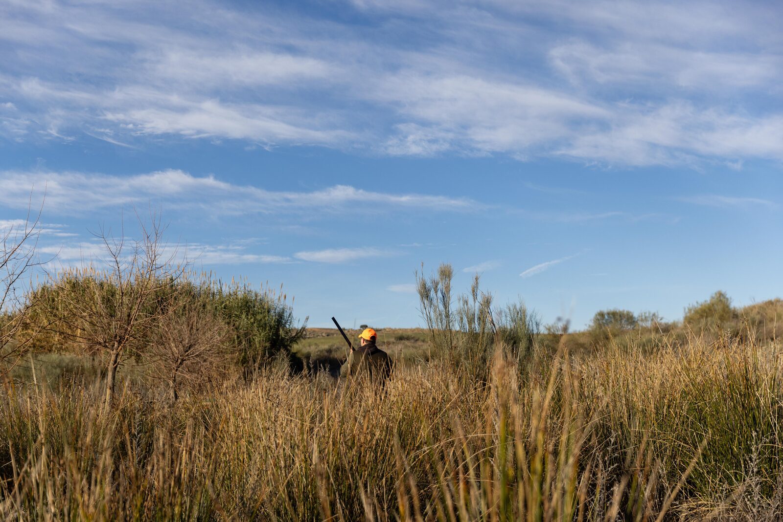 Hunter stalking through high grass, Valencia
